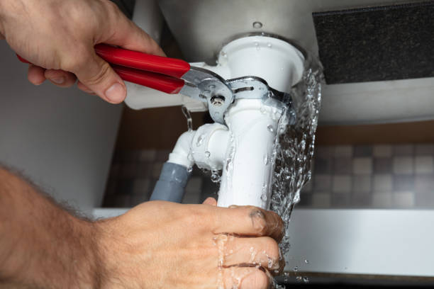 Best Local water damage restoration  in Jesup, IA