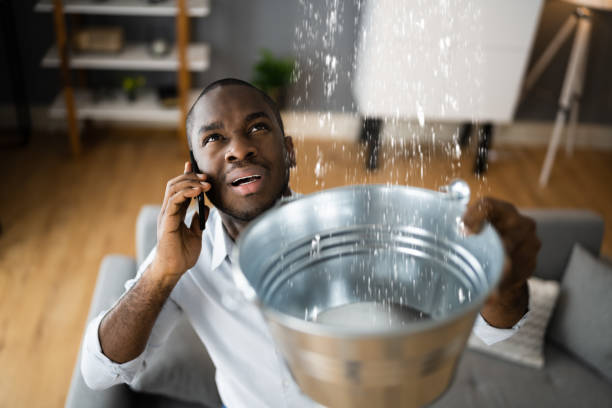 Best Water damage mitigation services  in Jesup, IA