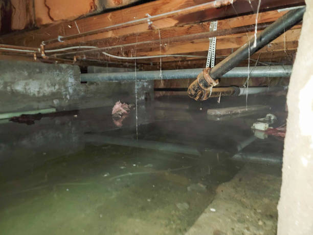 Best Emergency water damage restoration  in Jesup, IA