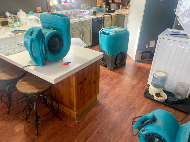 Trusted Jesup, IA Water damage restoration Experts