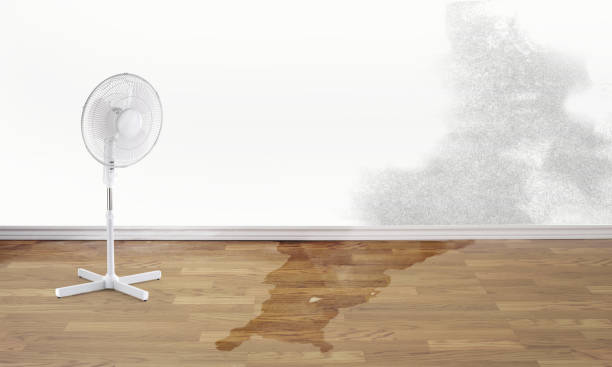  Jesup, IA Water damage restoration Pros