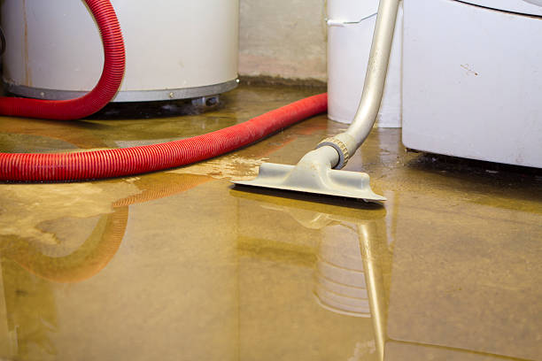 Best Water damage restoration near me  in Jesup, IA