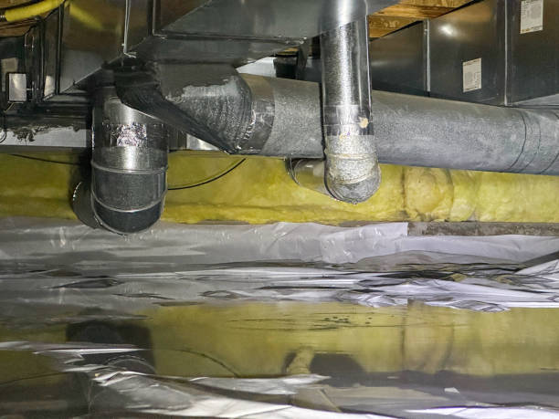 Best Carpet water damage restoration  in Jesup, IA
