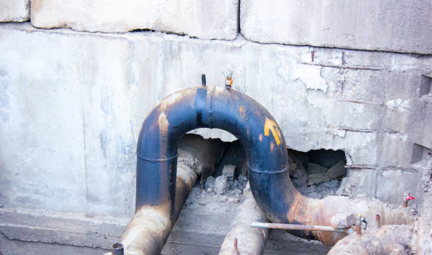 Best Water damage restoration mold remediation  in Jesup, IA